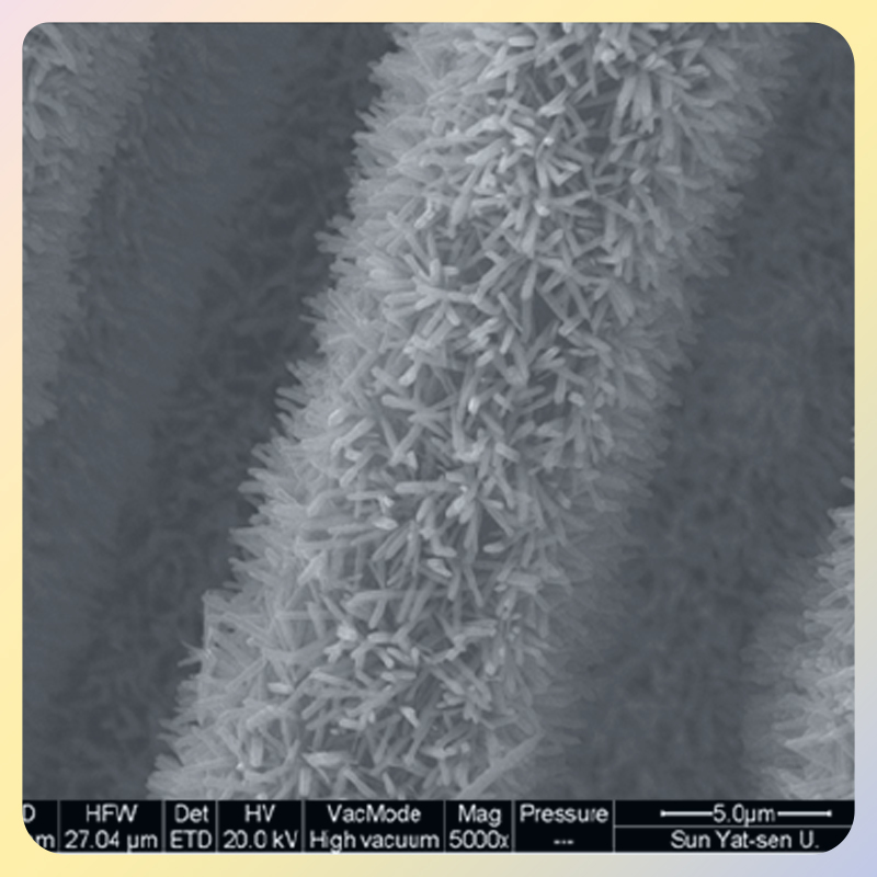 碳布负载氢化二氧化钛纳米棒阵列